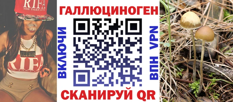 Галлюциногенные грибы GOLDEN TEACHER  Кувшиново 